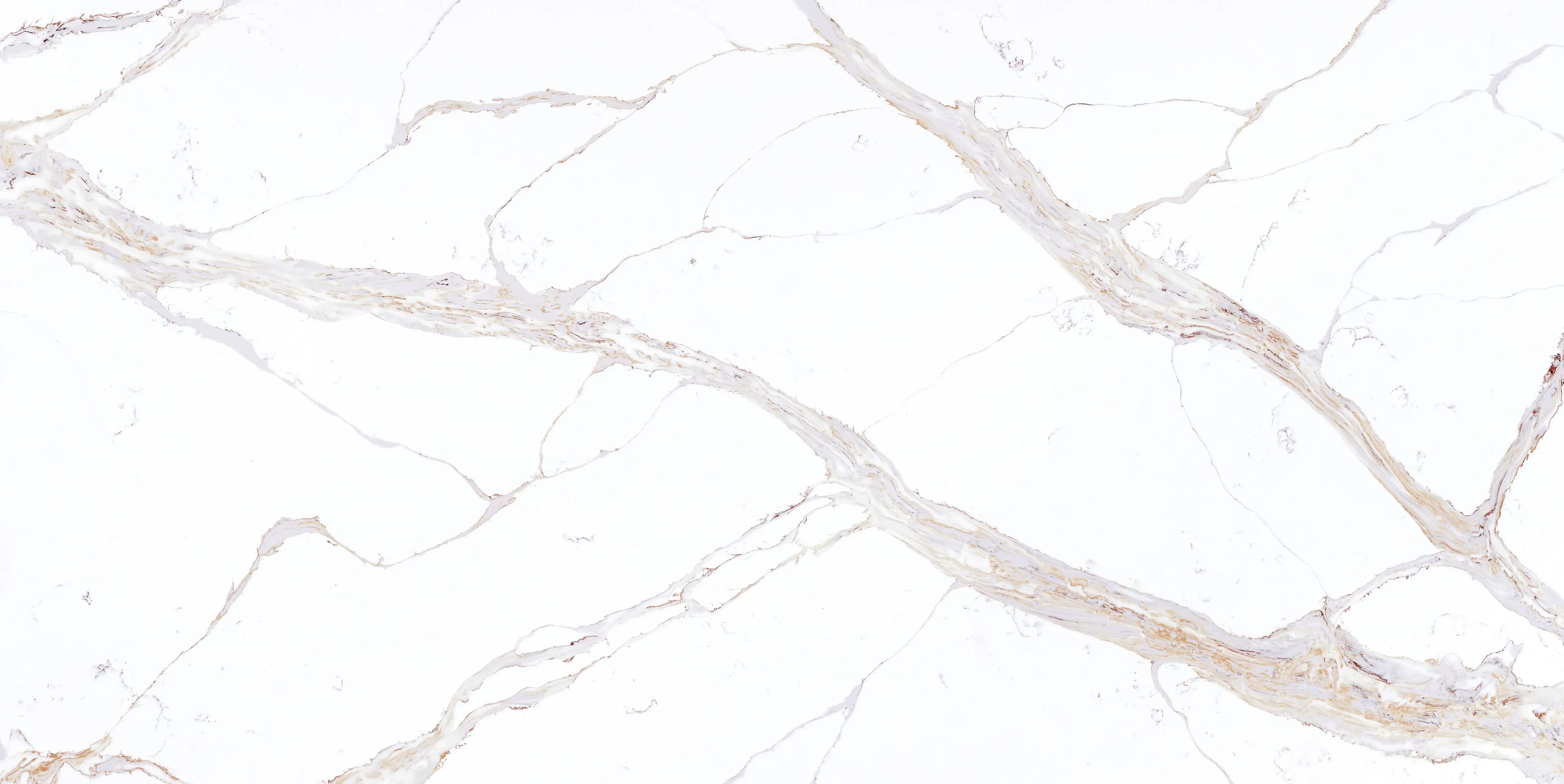 Artemistone Calacatta Miel