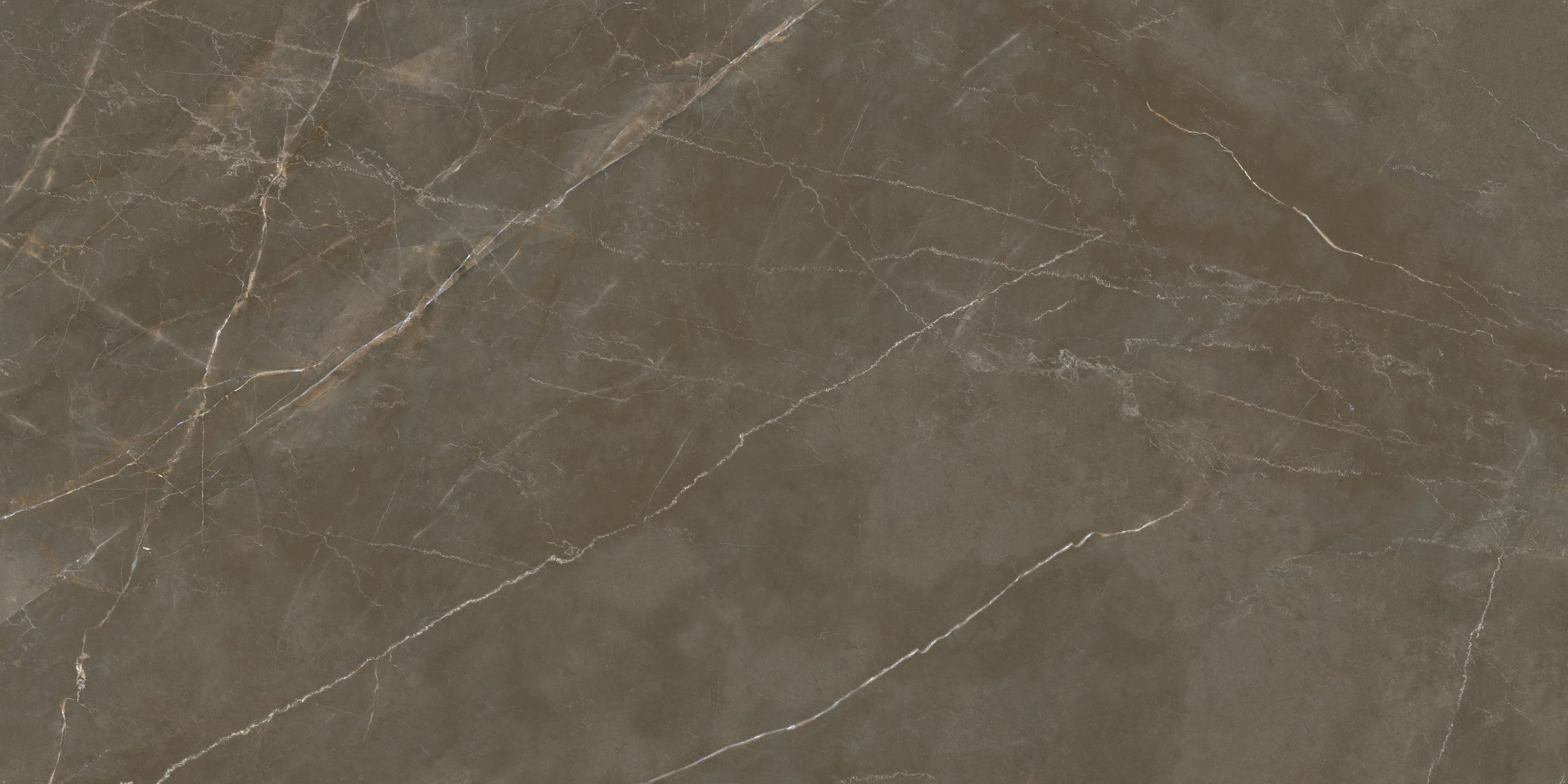 Ascale Crotone Pulpis