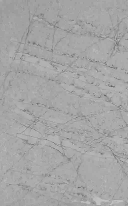 CRL Quartz Cristallo Platino