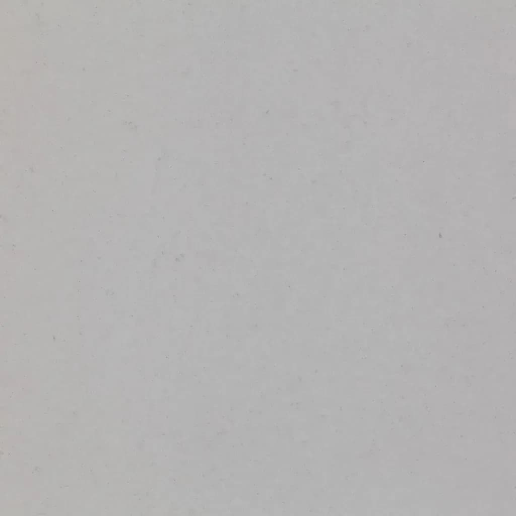 Quartzforms Fossil Seashell 865