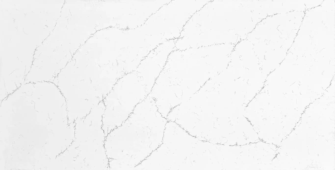 Sempre Carrara Enigma