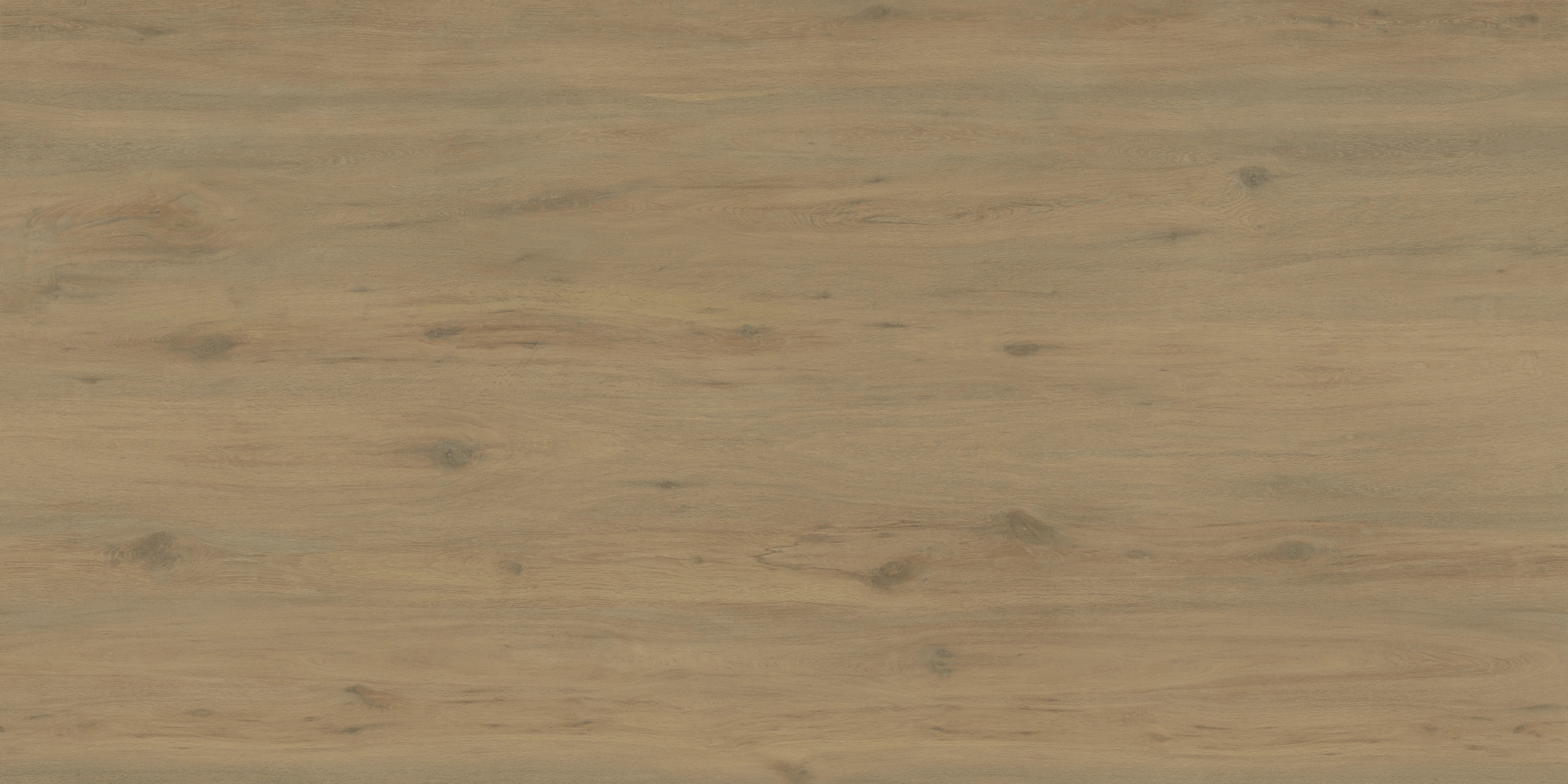 Ascale Boreal Sand