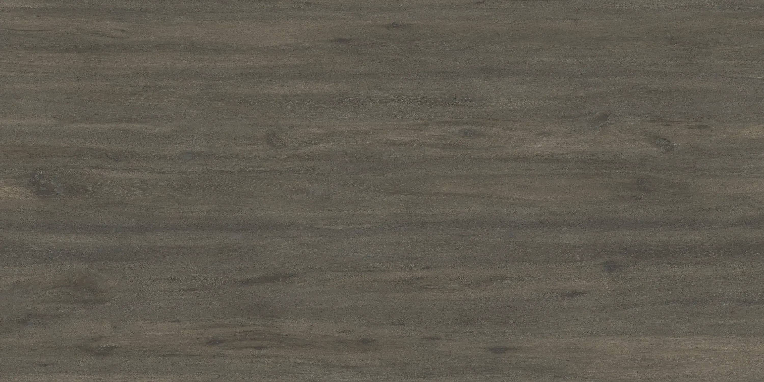 Ascale Boreal Umber