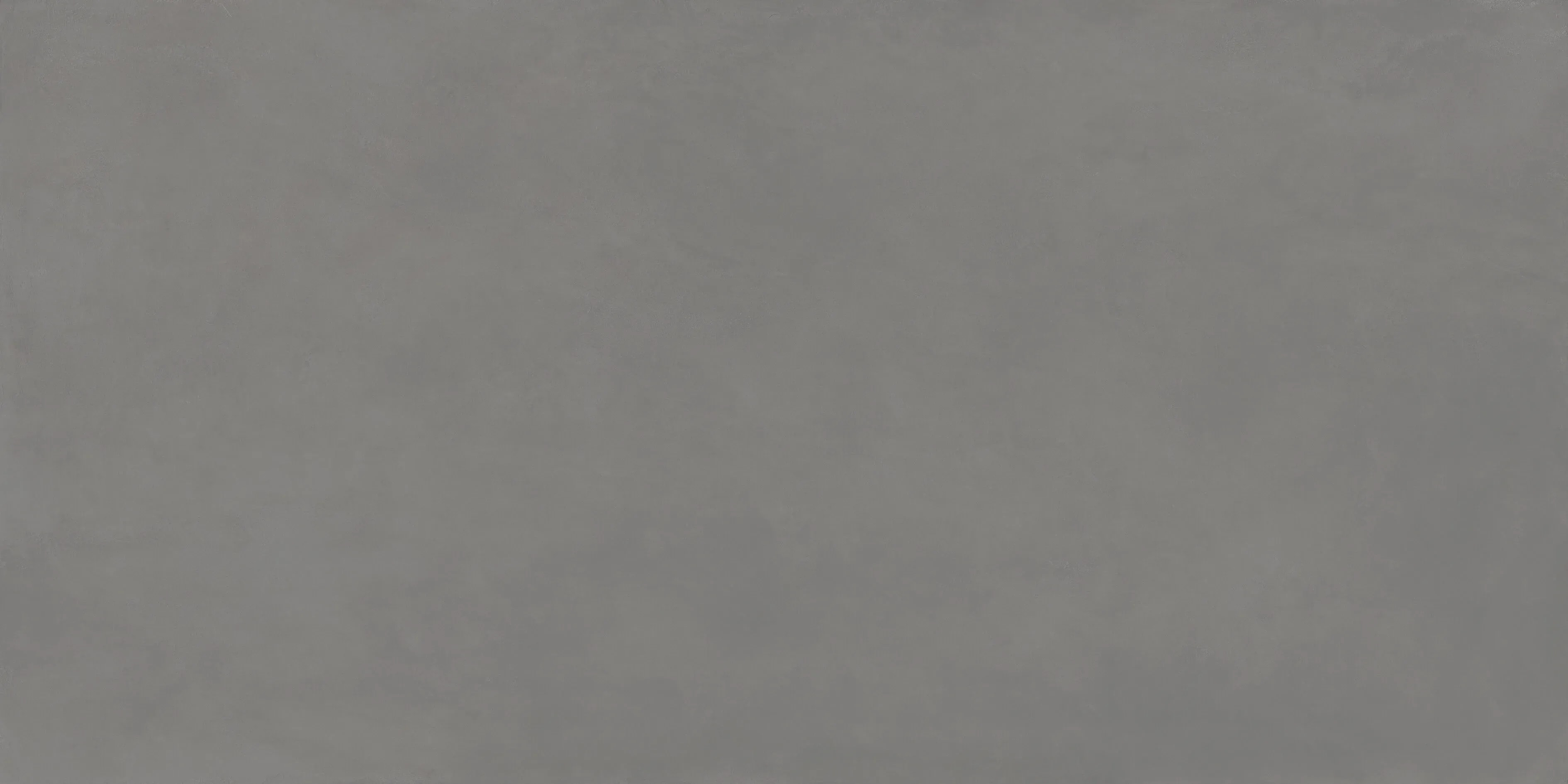 Ascale Cosmopolita Gray