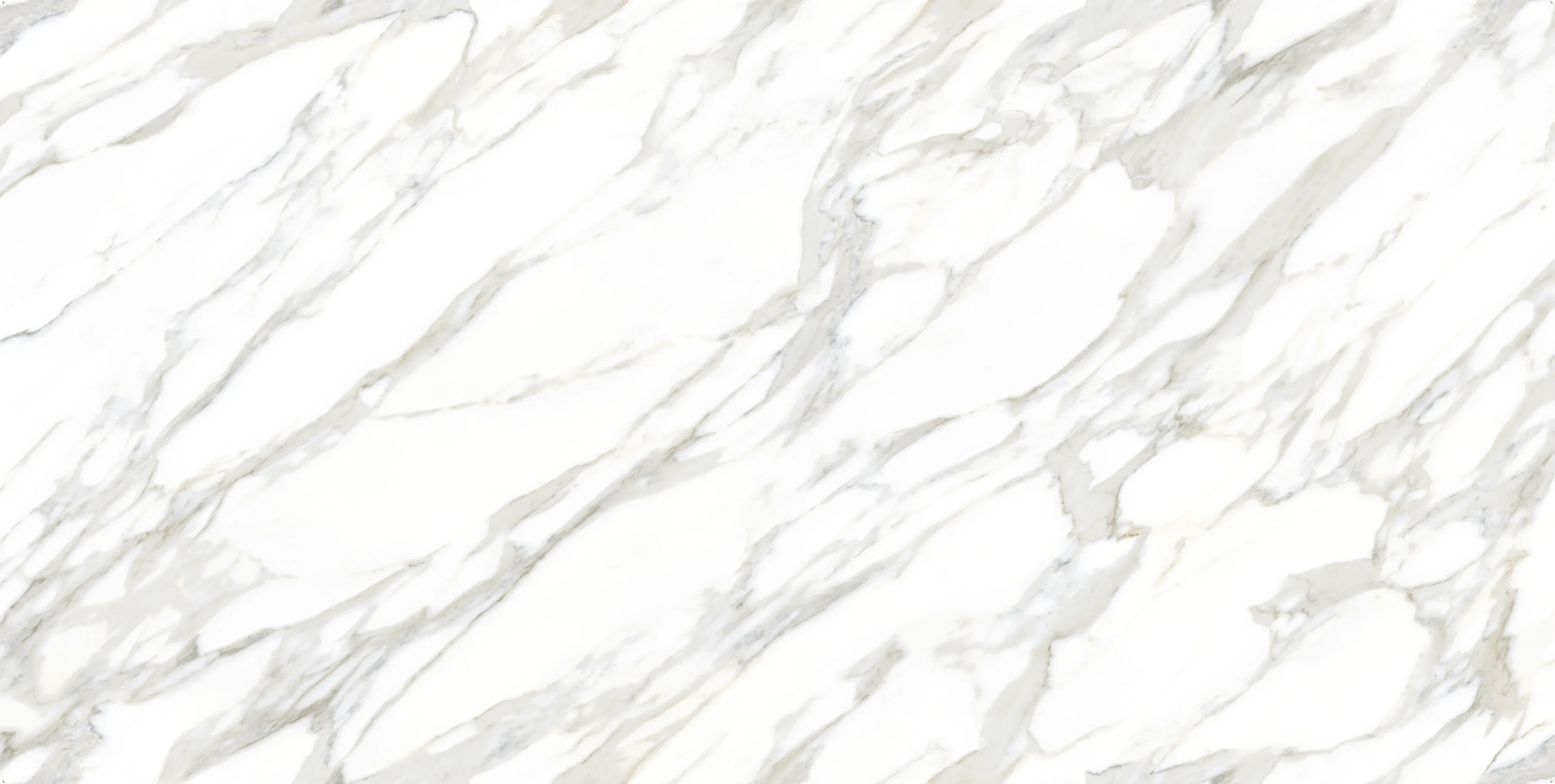 Ascale Ducal Gold