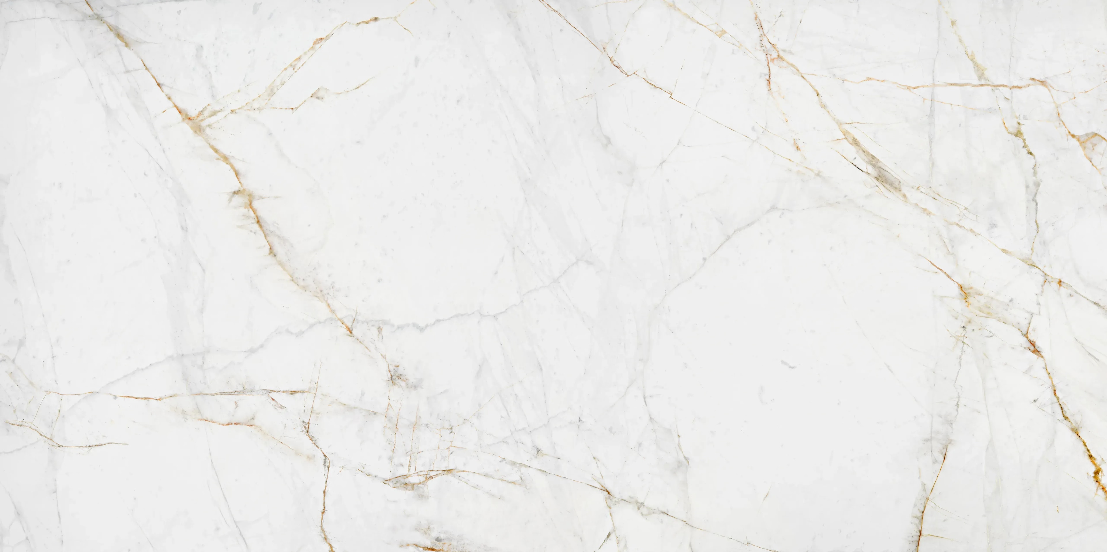 Ascale Lucca Gold