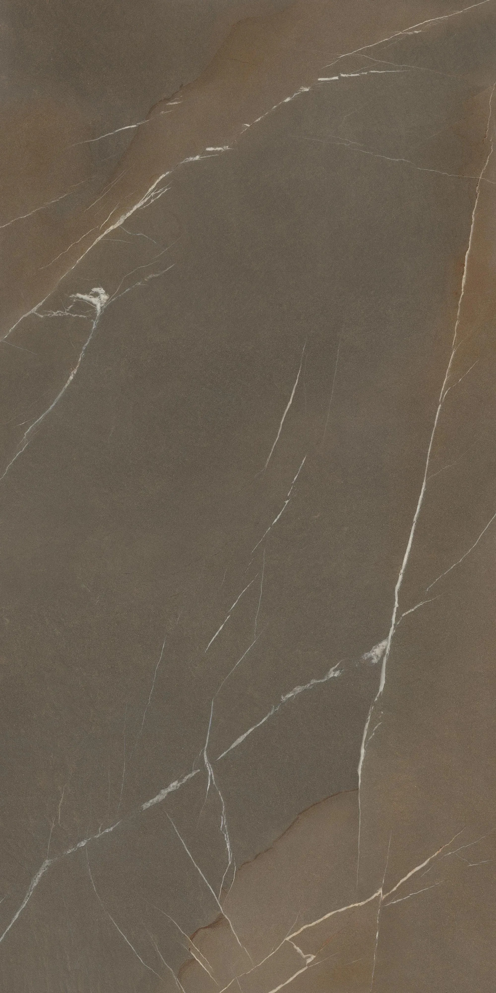 Laminam Pietra Piasentina Taupe Naturale