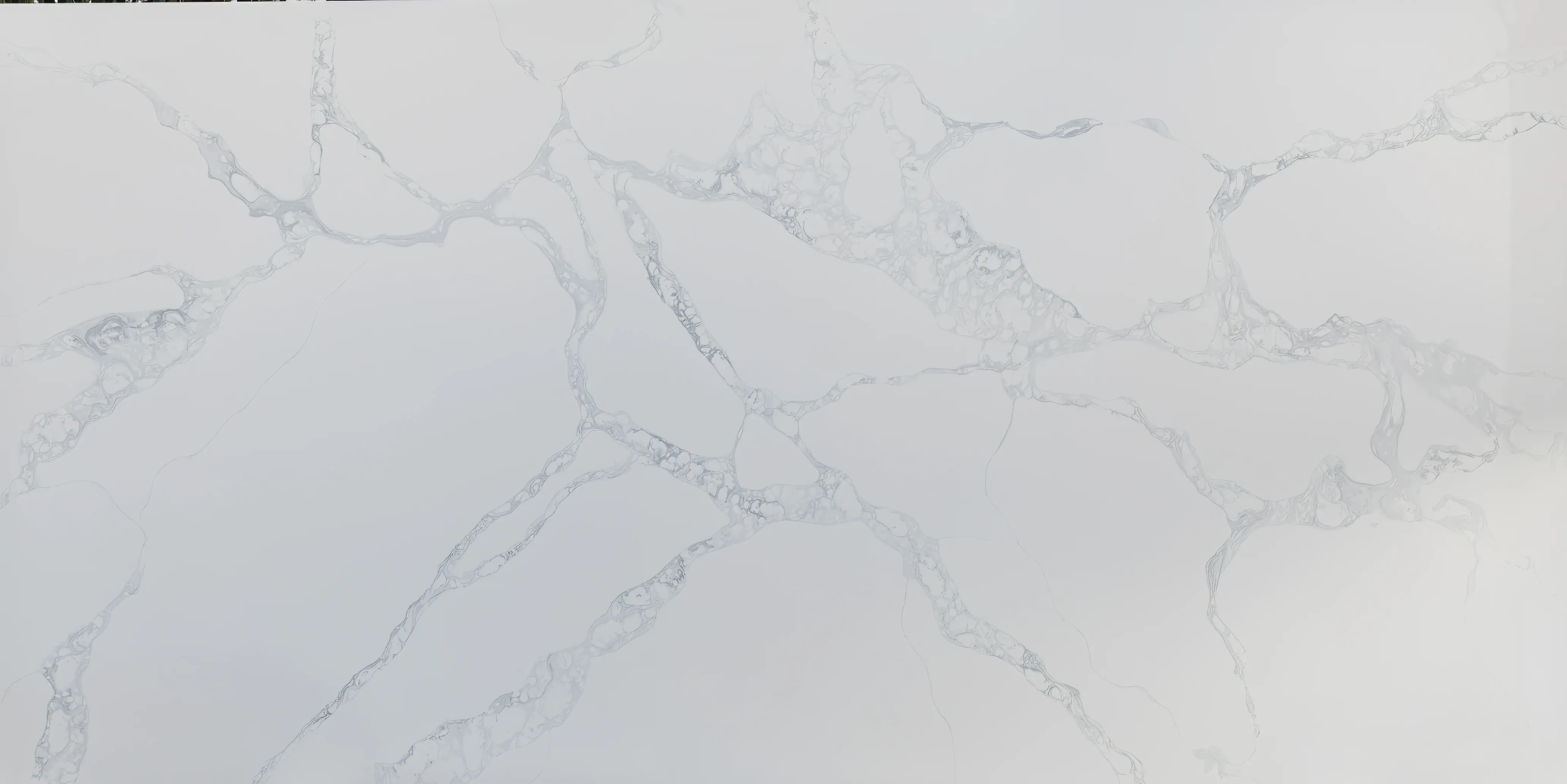 Next Stone Calacatta Lucente