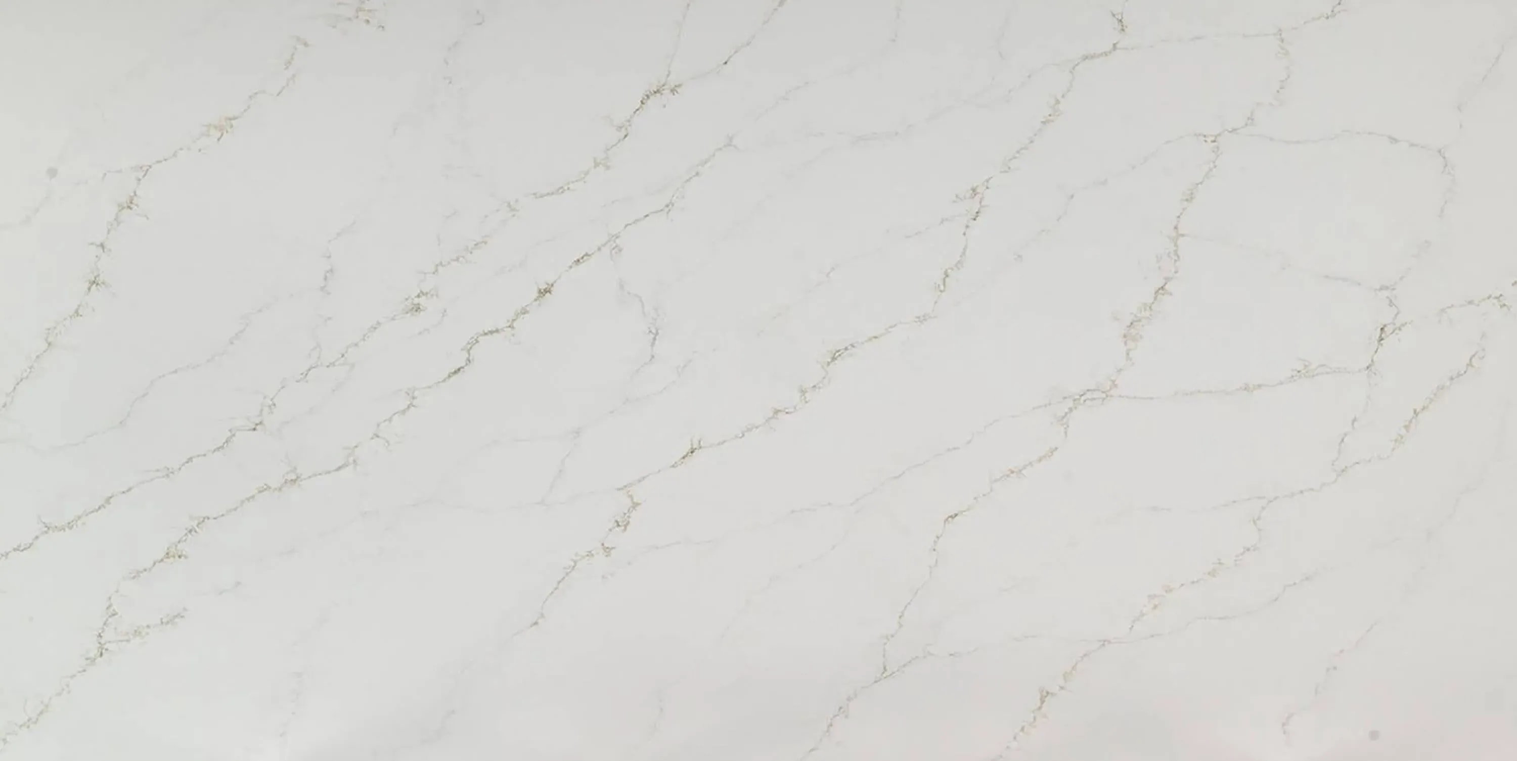 Picasso Golden Thunder (Shimmer)