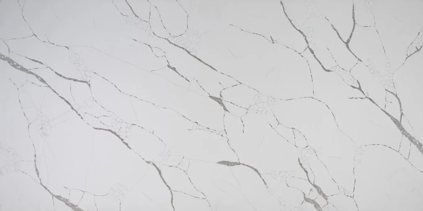 Sempre Calacatta Venato