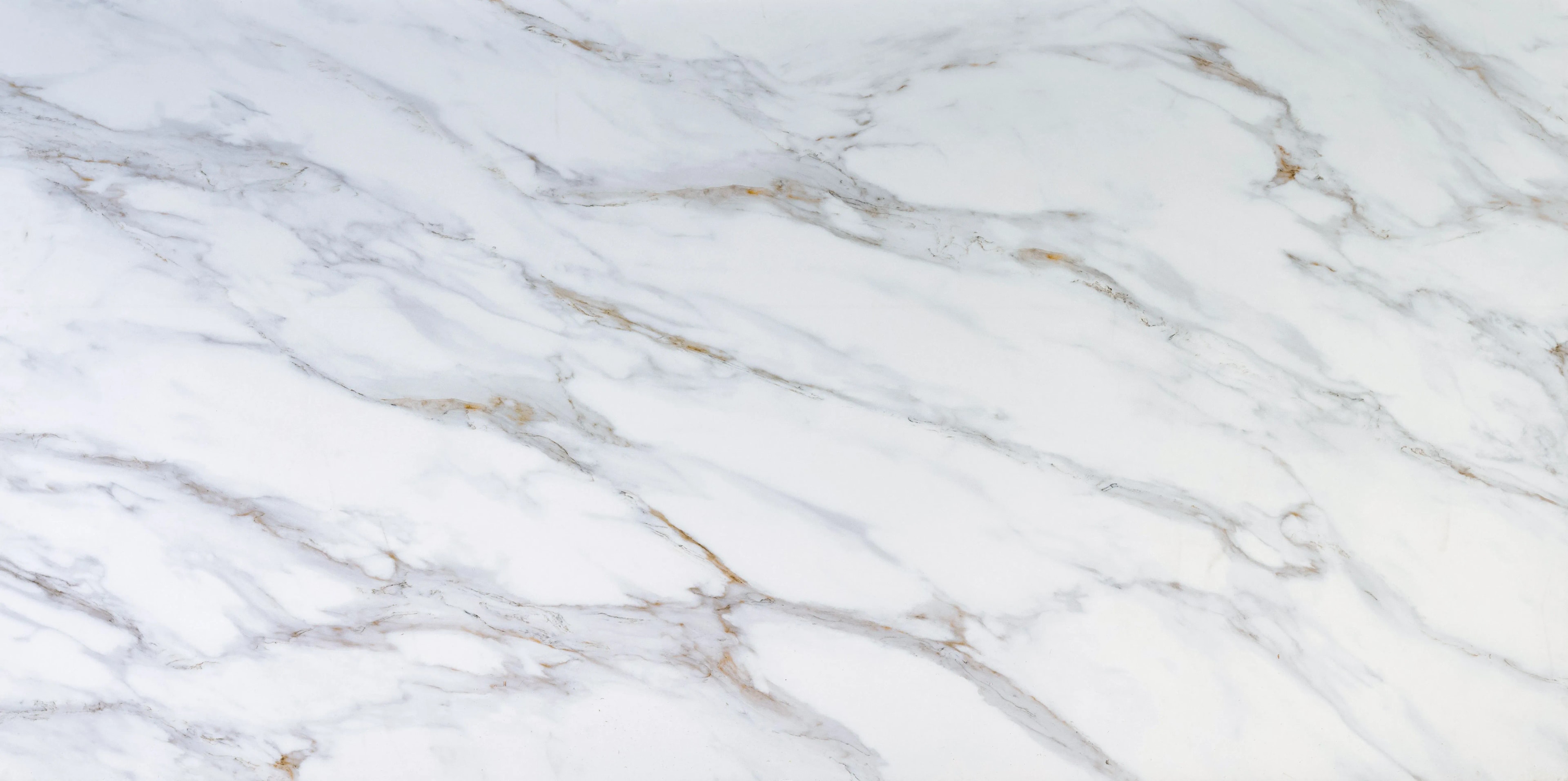 Sempre Calacatta Verona