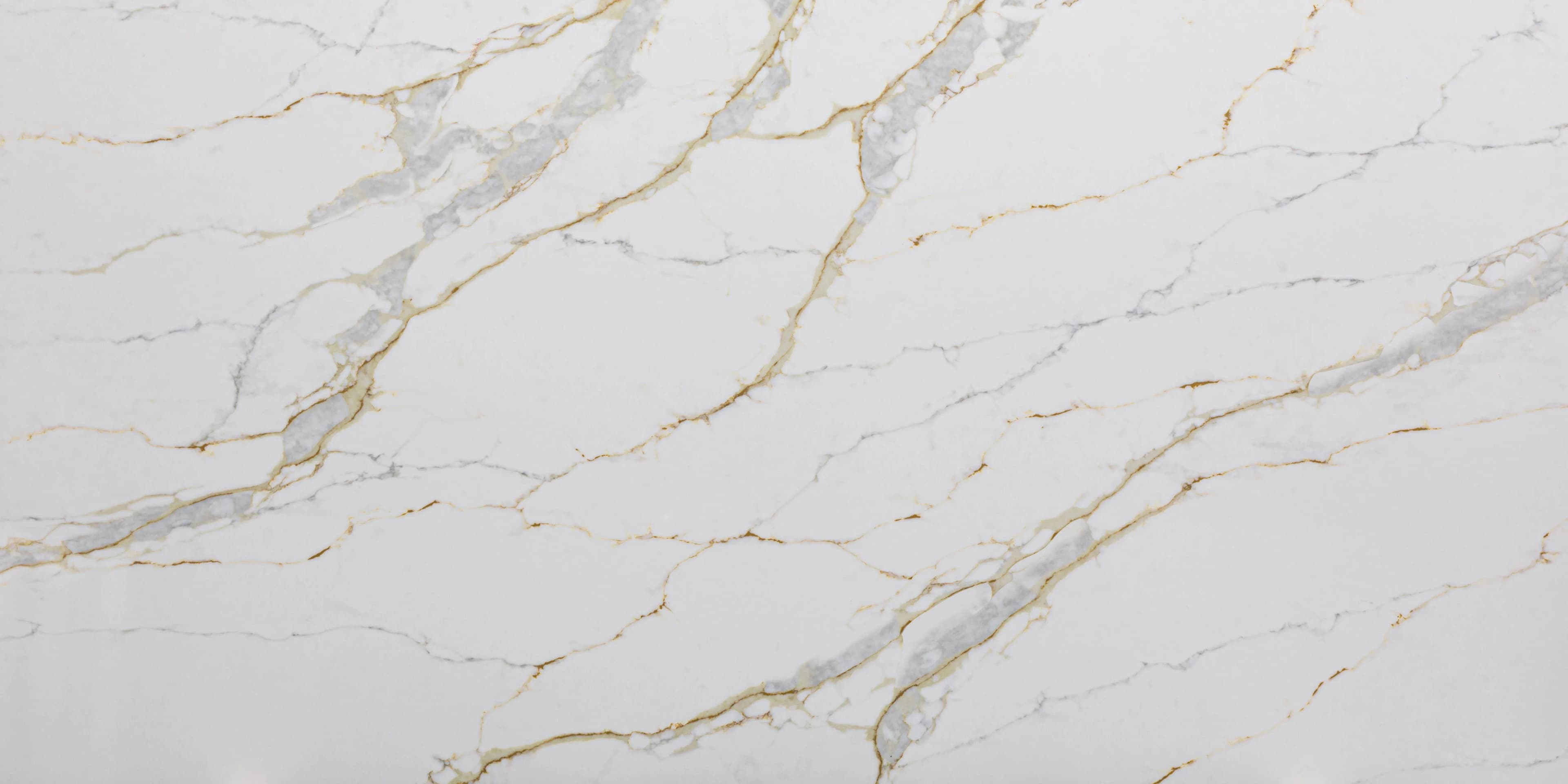 Artemistone Fortis
