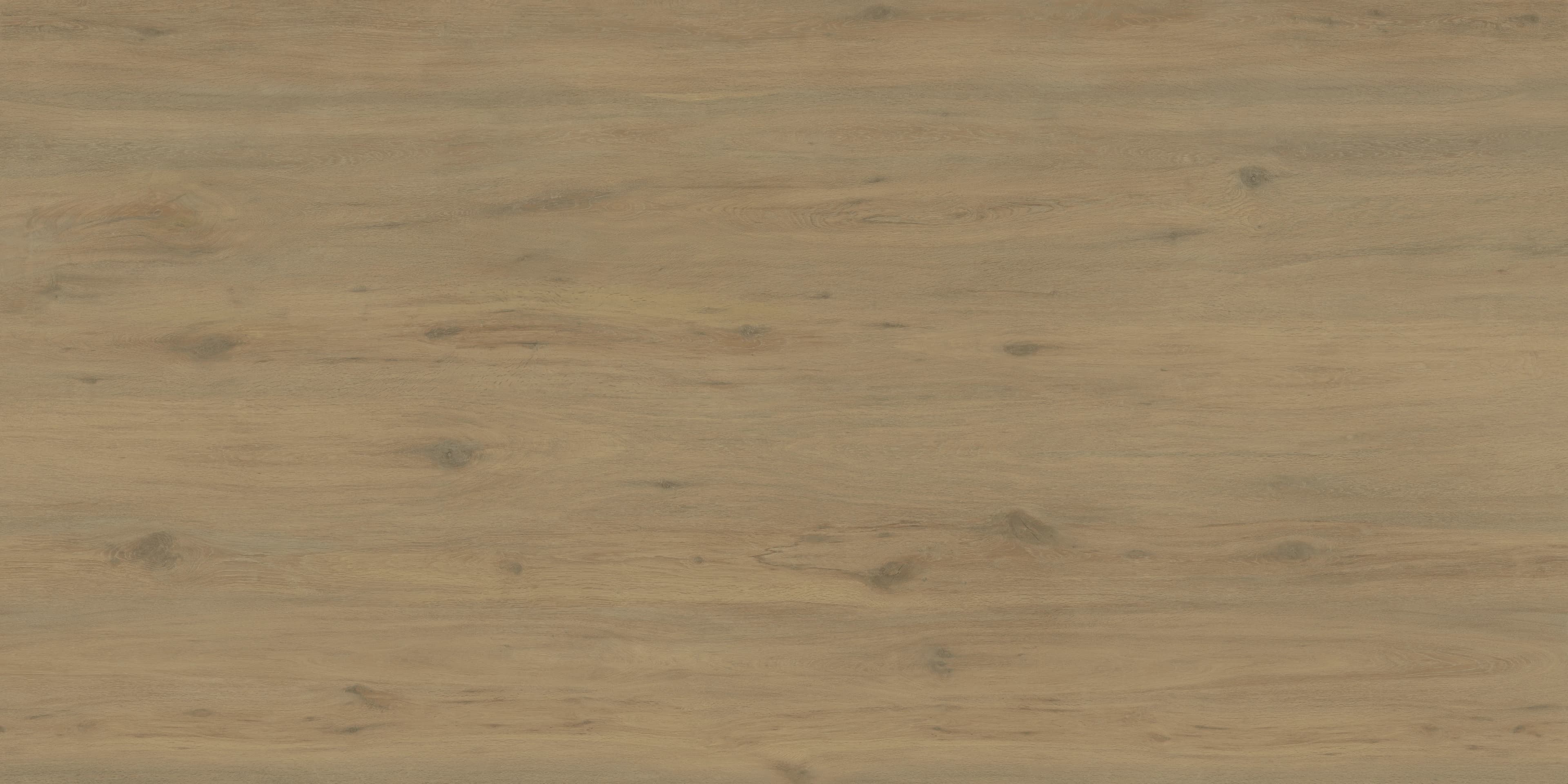 Ascale Boreal Sand