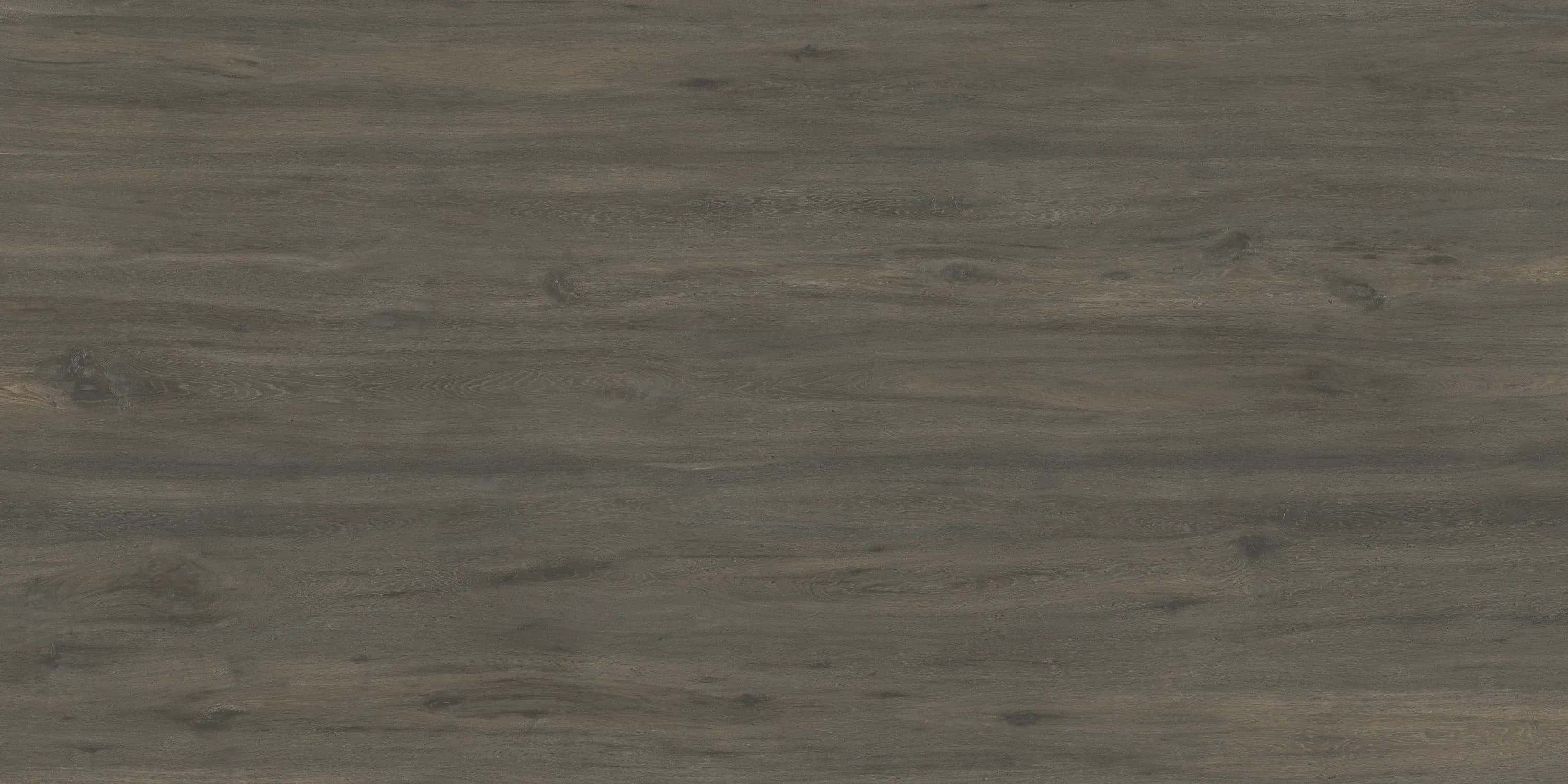 Ascale Boreal Umber