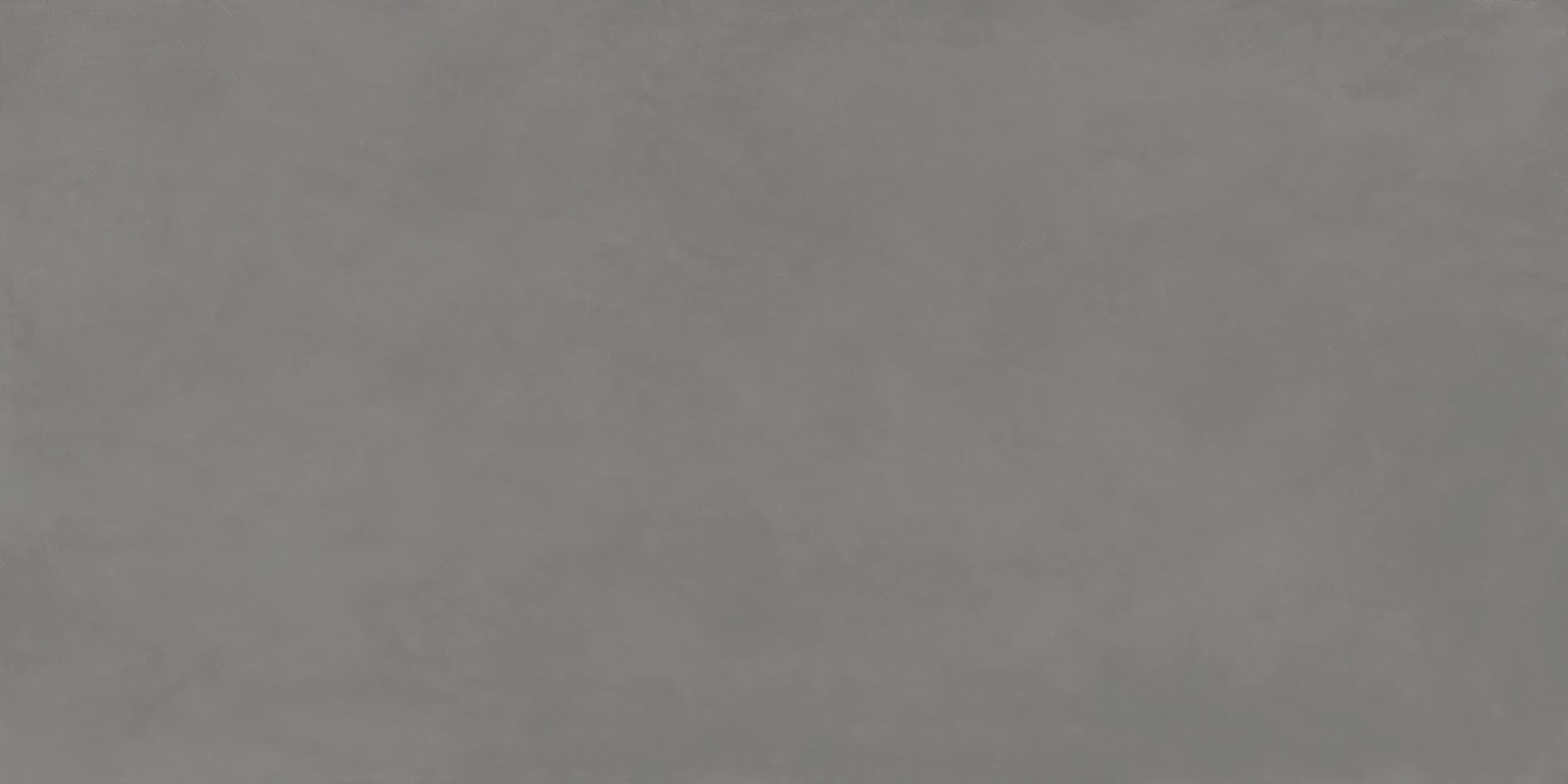 Ascale Cosmopolita Gray