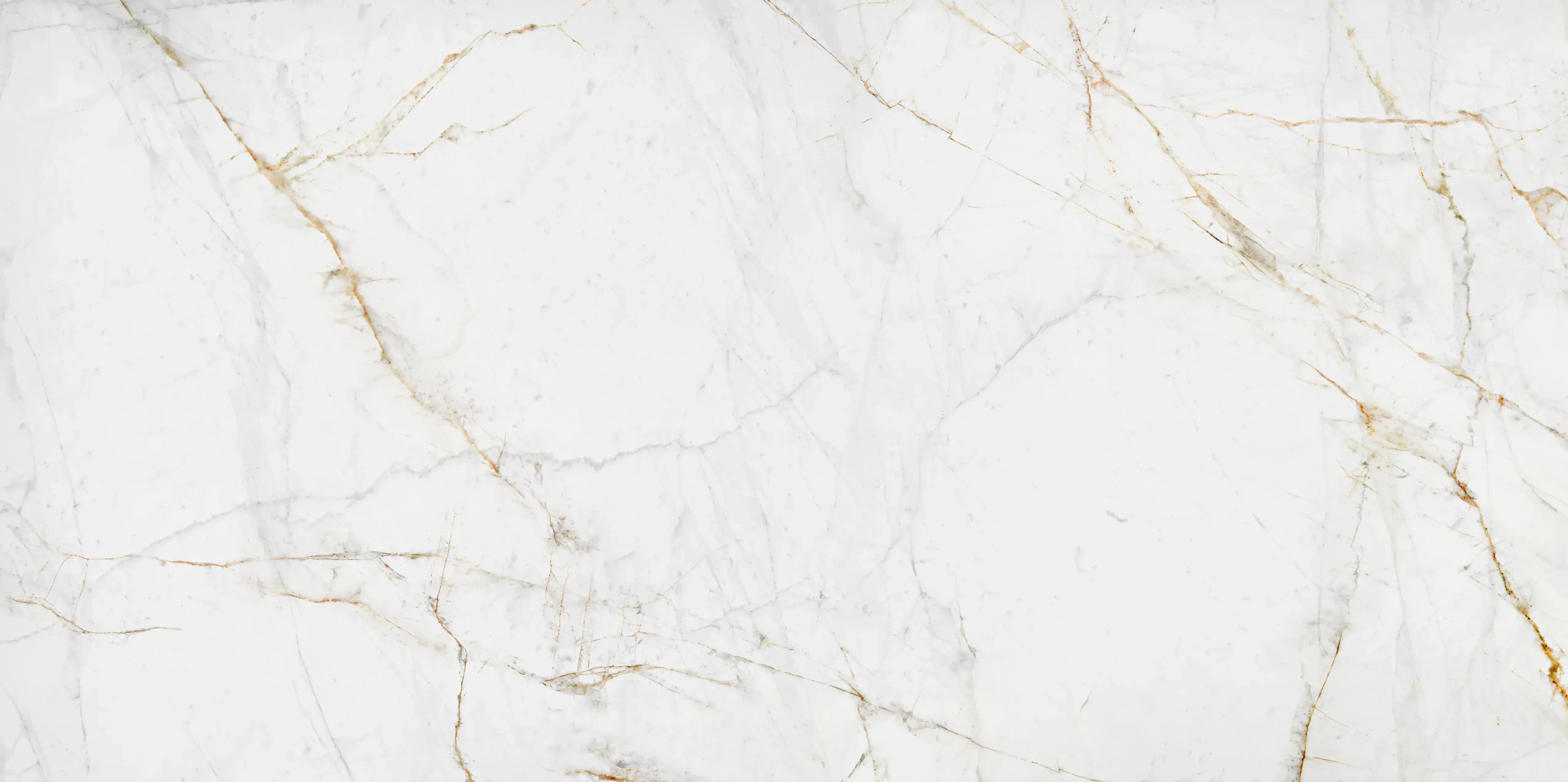Ascale Lucca Gold