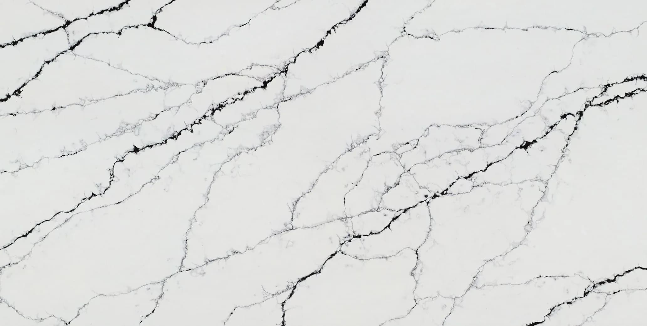 Classic Quartz Calacatta Noir