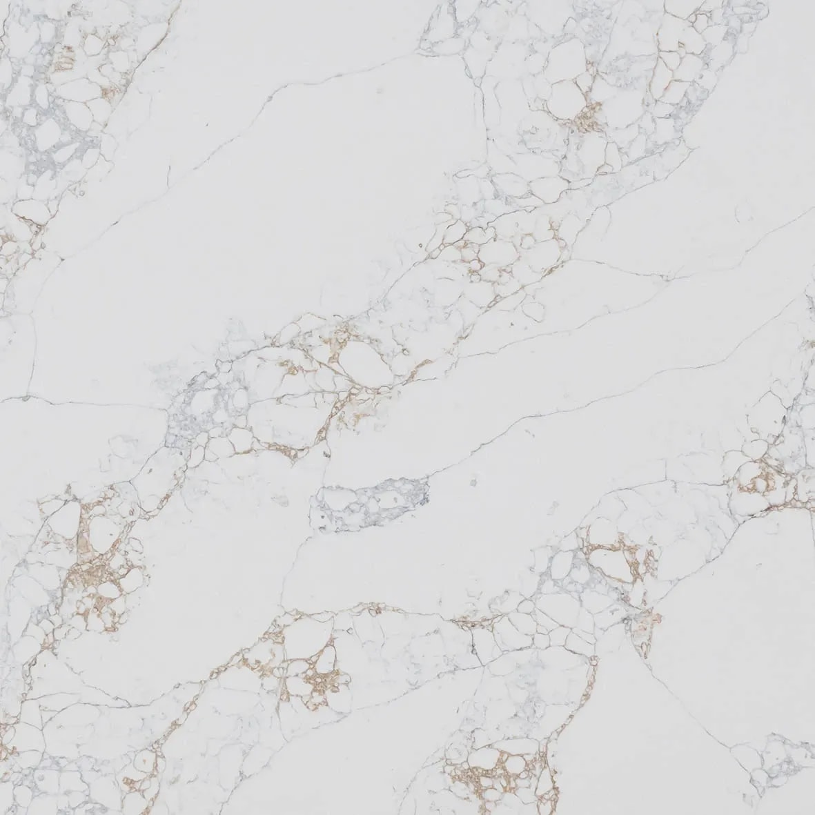 Cullifords Quartz Calacatta Medicea