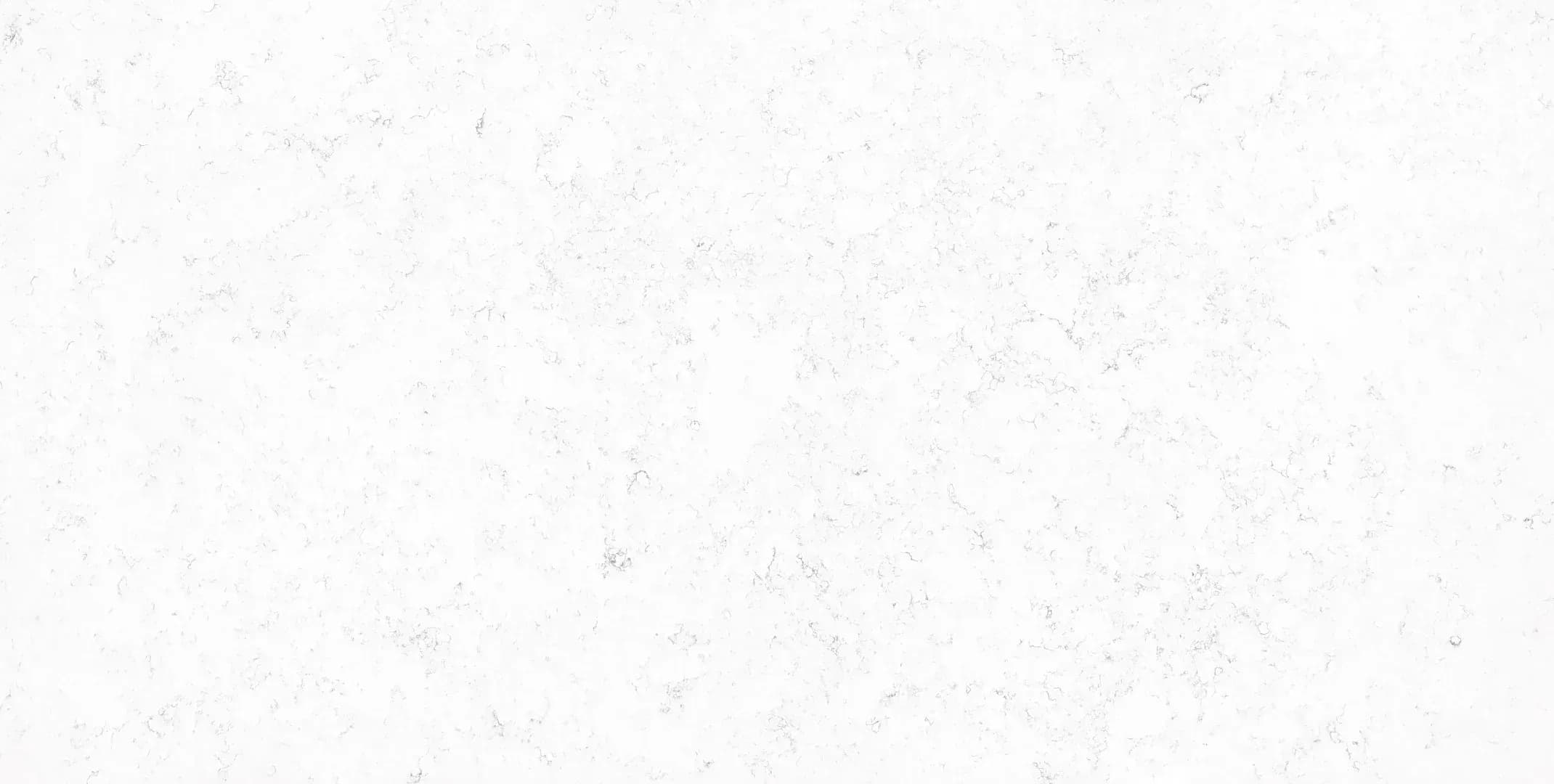 Horizon New Carrara White