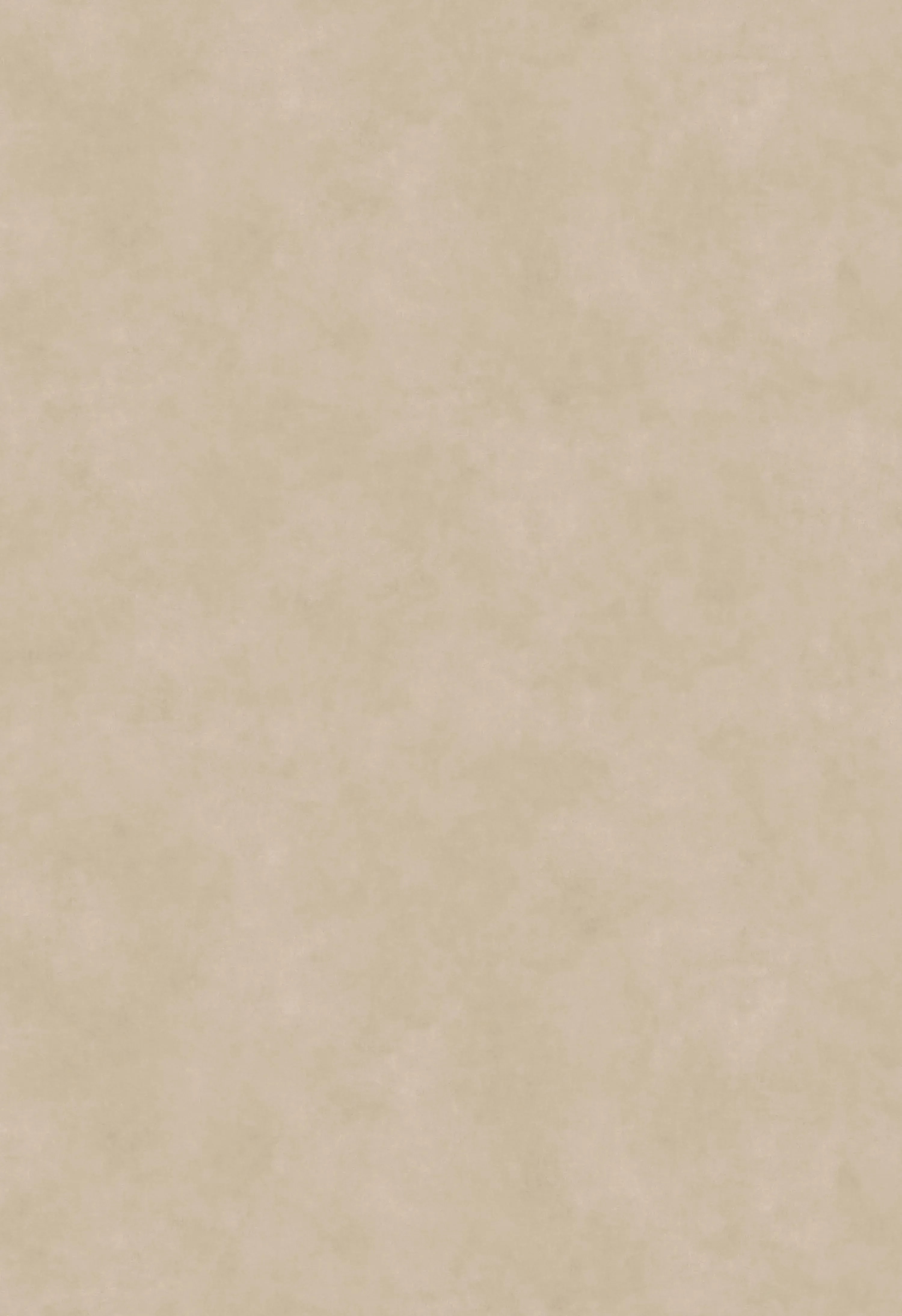 Neolith Pietra Di Osso